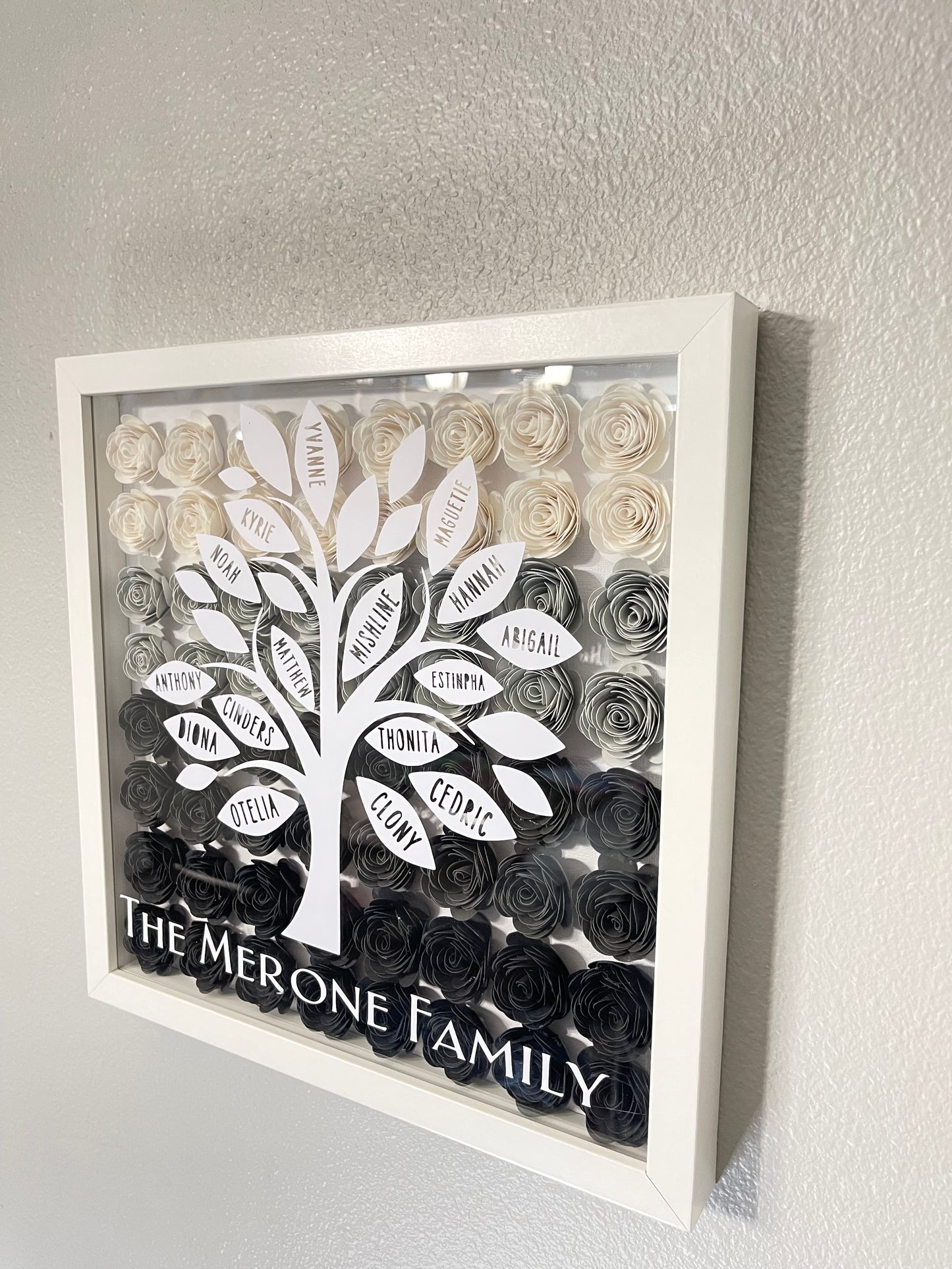 The Essence of Family Shadow Box