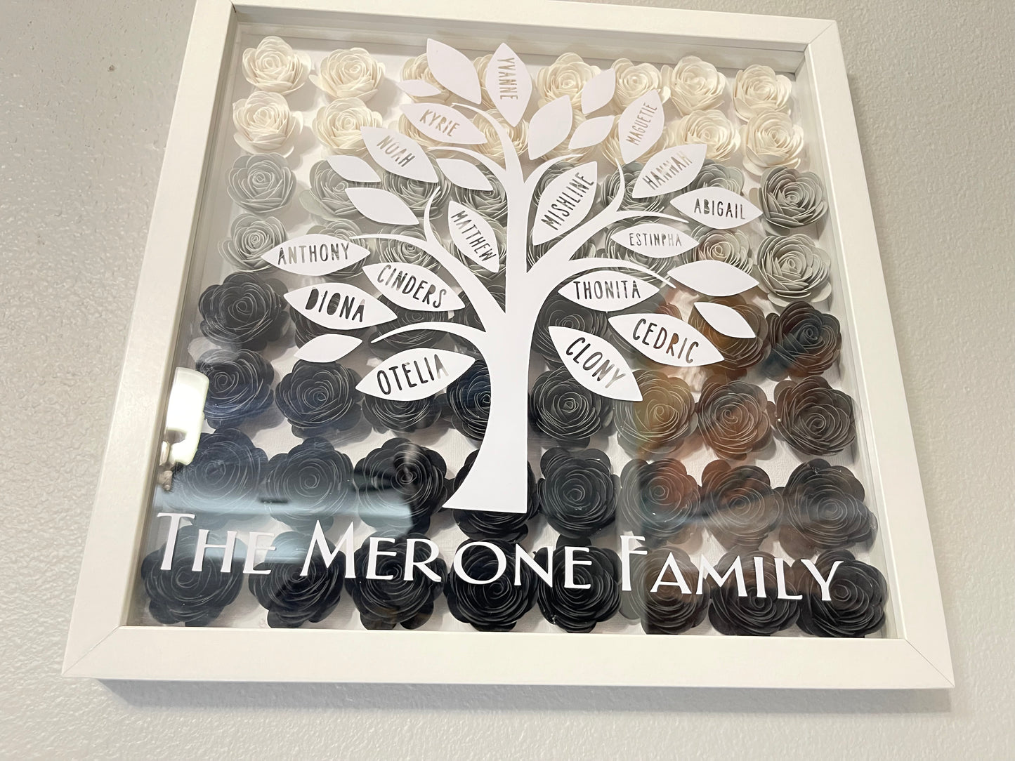 The Essence of Family Shadow Box