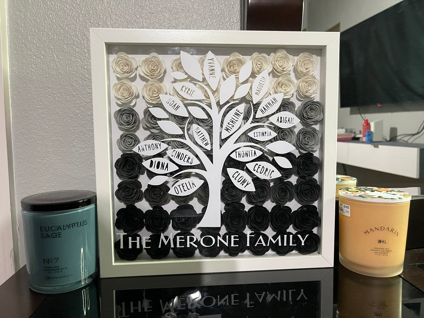 The Essence of Family Shadow Box